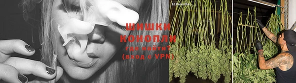круглые Ладушкин