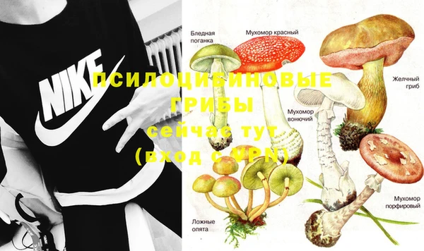 круглые Ладушкин