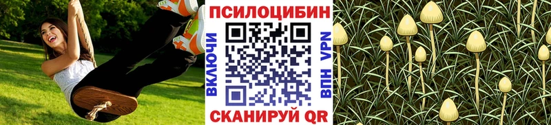 Псилоцибиновые грибы MAGIC MUSHROOMS  где продают наркотики  Новошахтинск 